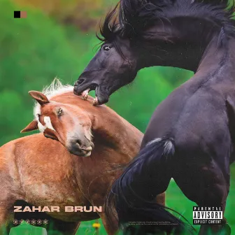 Zahar Brun by Chimie