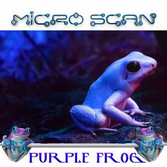 Purple Frog by Micro Scan