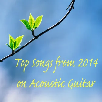 Top Songs from 2014 on Acoustic Guitar by Steve Petrunak