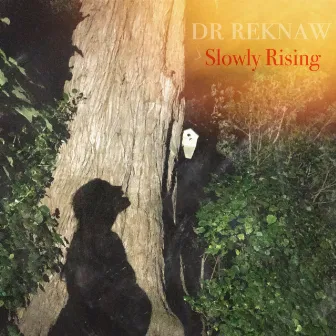 Slowly Rising by Dr. Reknaw