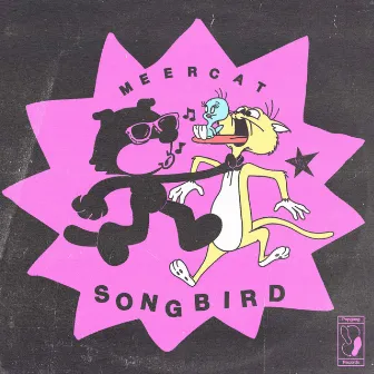 Songbird by Meercat