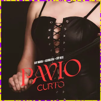 Pavio Curto by Evy Reis