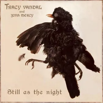 Still as the Night by Tracy Vandal