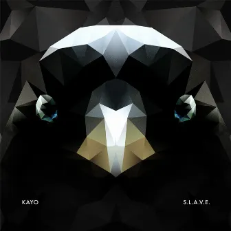 S.L.A.V.E. by Kayo