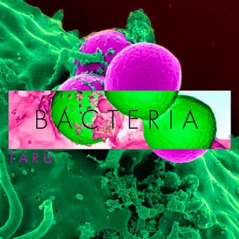 BACTERIA by Tarù