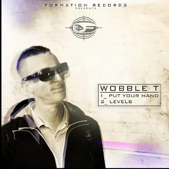 Put Your Hand / Levels by Wobble T