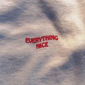 Everything Nice - Mixtape by Unknown Artist