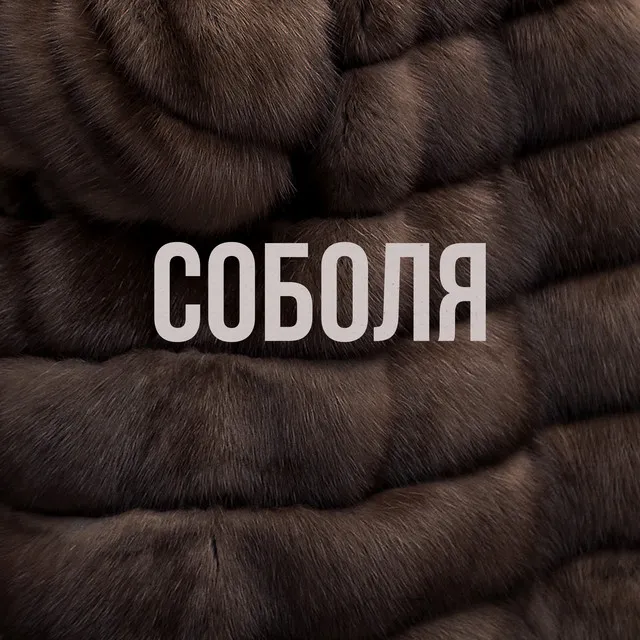 Соболя