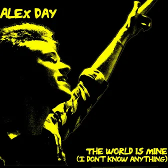 The World Is Mine (I Don't Know Anything) by Alex Day