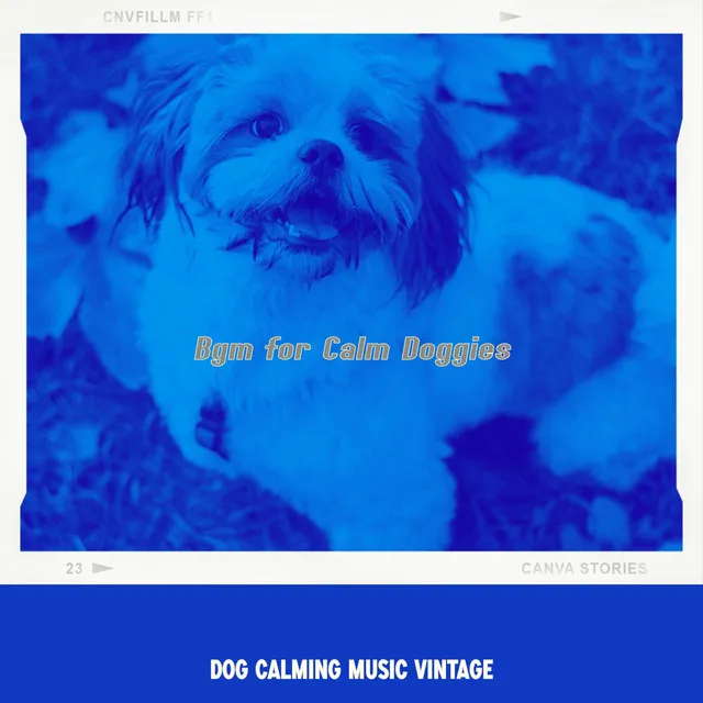 Lively Jazz Trio - Vibe for Relaxing Pups