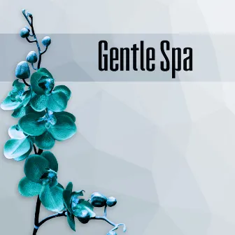 Gentle Spa - Pure Massage, Pacific Ocean Waves, Body Balance, Wellness Spa, Ambient Music, Relaxation, Calmness, Rest by Amazing Spa Universe