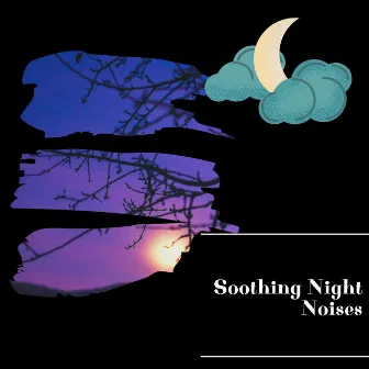 Soothing Night Noises by Night Sounds