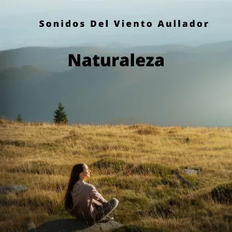 Naturaleza: Sonidos Del Viento Aullador by Nubes maravillosas