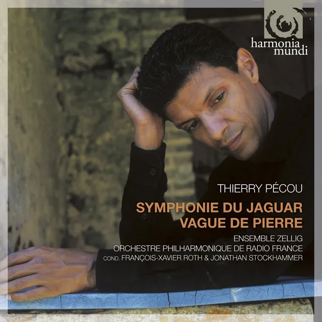 Symphonie du Jaguar: I. Volatile