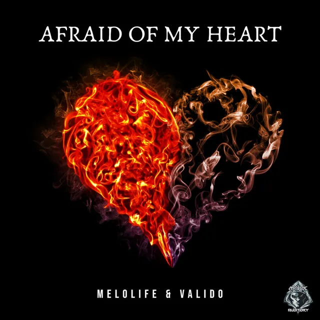 Afraid of My Heart