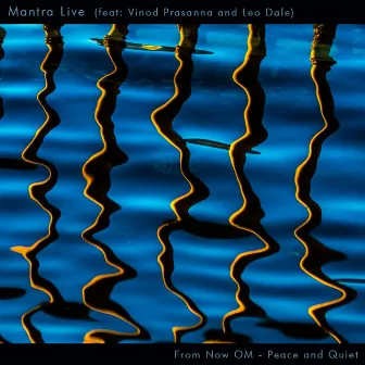 From Now Om - Peace and Quiet by Mantra Live