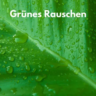 Grünes Rauschen by Weißes Rauschen App