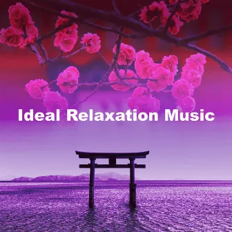 Ideal Relaxation Music by Music For Meditation