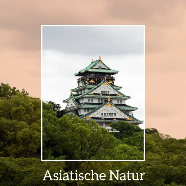 Asiatische Natur - Beruhigende Gelassenheit des Asiatischen Gartens