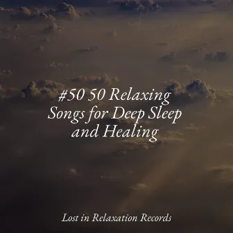 #50 50 Relaxing Songs for Deep Sleep and Healing by Nature Sound Collection