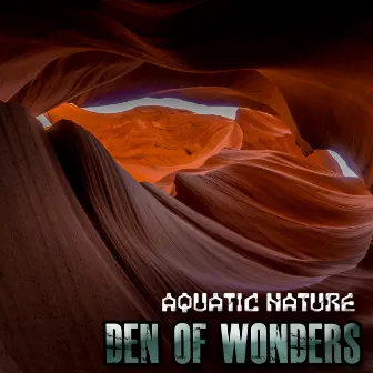 Den Of Wonders by Aquatic Nature