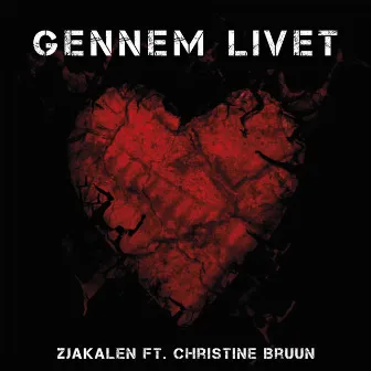 Gennem Livet by Zjakalen