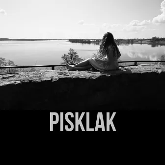 Pisklak by Karolina Lizer