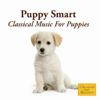 Puppy Smart - Classical Music For Puppies by St. Martin's Orchestra