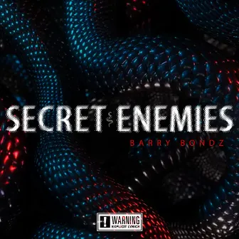 Secret Enemies by Barry Bondz