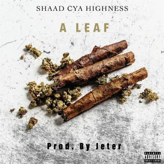 A Leaf by Shaad Cya Highness