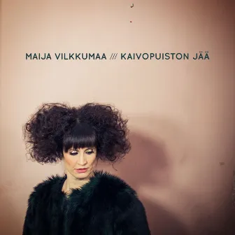 Kaivopuiston jää by Maija Vilkkumaa