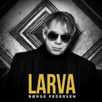 Larva (Radio Edit) by Børge Pedersen