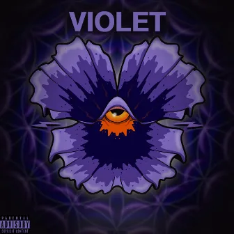 Violet by W4SH