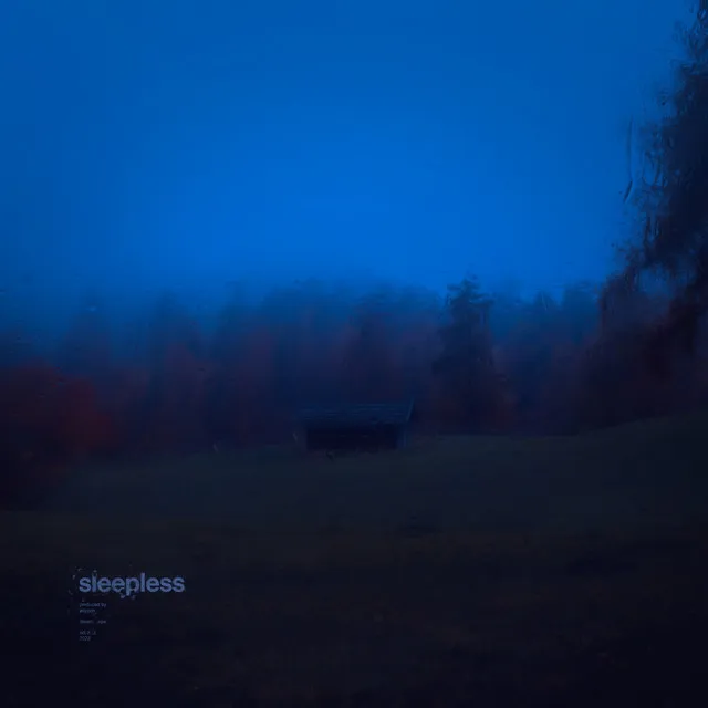 sleepless (Remixes)