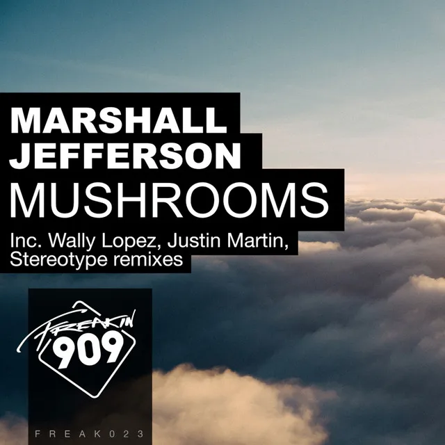 Mushrooms - Justin Martin Remix