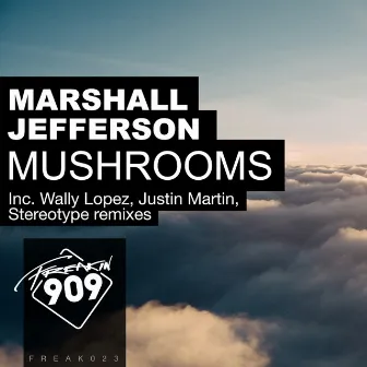 Mushrooms (Remixes, Pt. 2) by Marshall Jefferson