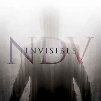 Invisible by Nick D'Virgilio