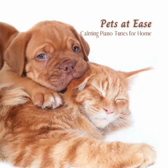 Pets at Ease: Calming Piano Tunes for Home by Morning Chill Out Playlist