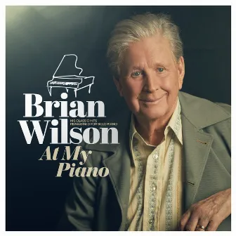 Wouldn't It Be Nice by Brian Wilson