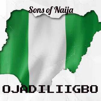 Sons of Naija by Ojadiliigbo