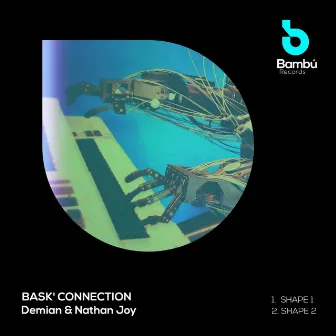 Bask' Connection by Demian