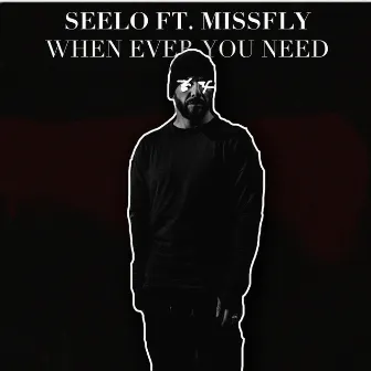 When Ever You Need by Seelo