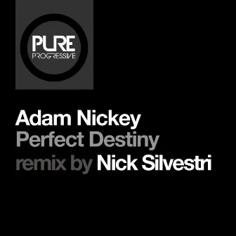 Perfect Destiny (Nick Silvestri Remix) by Nick Silvestri