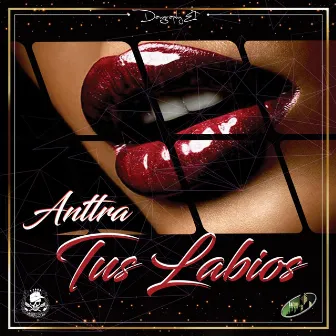 Labios by Anttra