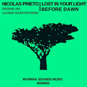 Lost in Your Light by Nicolas Prieto