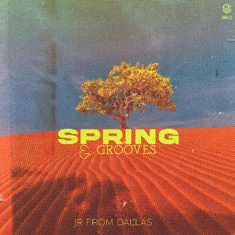 Spring & Grooves by JR From Dallas