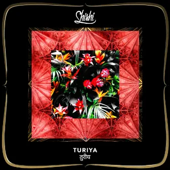 Turiya by ShiShi