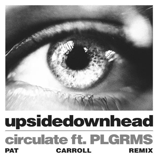 circulate - Pat Carroll Remix