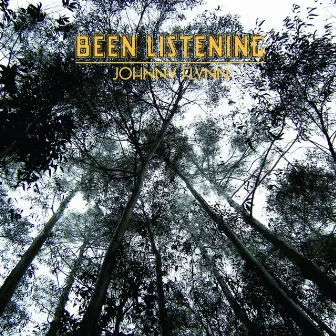 Been Listening by Johnny Flynn