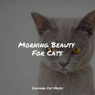 Morning Beauty For Cats by Music for Cats Deluxe